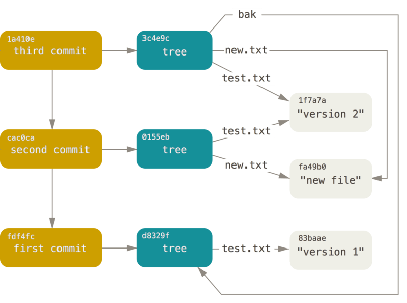 Git object model, commits, trees, files.